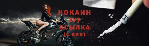 стаф Аркадак