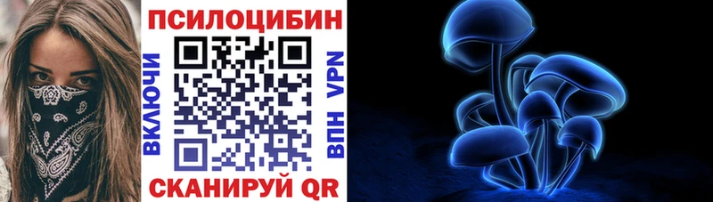 darknet наркотические препараты  Опочка  Галлюциногенные грибы ЛСД 